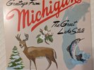 Sufjan Stevens - Michigan vinyl LP (Near Mint)