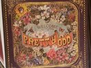 Panic At The Disco – Pretty Odd - LP Vinyl Record 12