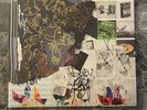 Animal Collective Time Skiffs Vinyl Translucent Ruby 2LP Signed Autographed