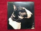 Pixies - Here Comes Your Man 12