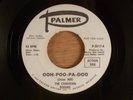 The Canadian Rogues  Ooh-Poo-Pa-Doo/Keep In Touch  RARE  Promo Garage, Psych