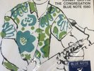JOHNNY GRIFFIN THE CONGREGATION, VINYL LP, MUSIC MATTERS 45 RPM