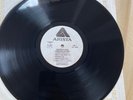 No Cover - GRATEFUL DEAD TERRAPIN STATION LP  FIRST PRESS WHITE LABEL PROMO WMMR
