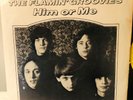 rare '74 FLAMIN' GROOVIES Him or Me F/ You Tore Me Down BOMP  45 Pic SLV MINT
