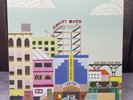 Fruit Bats - The Ruminant Band LP - Vinyl Sub Pop SP 830 - 2009 Release