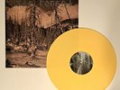 Hate Forest Sorrow Colored Vinyl Record Black Metal Osmose Productions