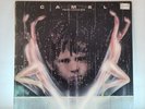 Camel: Rain Dances [LP] Janus Records SIGNED  Richard Sinclair Vinyl Album