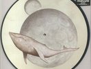 GOJIRA - From Mars To Sirius - Vinyl (limited picture disc 2xLP)