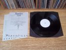 PARADISE LOST In Dub UK 1990 PEACEVILLE Test Pressing 12