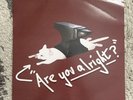 Lovejoy - Are you alright? / Pebble Brain double EP on white vinyl READ DESC