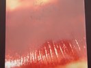 The Cure Kiss Me, Kiss Me, Kiss Me LP (2013) NEW Shrink Wrap Tear