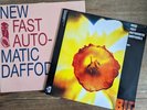 x 2 New Fast Automatic Daffodils 12