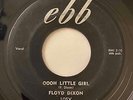 Mod R&B Jiver Blues 45 FLOYD DIXON Oooh Little Girl/What Is Life Without A Home