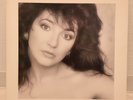 KATE BUSH / THE WHOLE STORY JAPAN ISSUE LP W/ INSERT