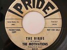 Surf Instro 45 THE MOTIVATIONS Motivate/The Birds Pride HEAR Rare