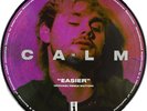 5 Seconds Of Summer - Calm Easier (Michael Remix Edition Vinyl Picture Disc) NEW