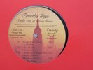 Timothy Gaye Snake out of Green Grass modern soul LP on Vanity 1987