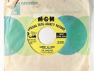 Northern Soul 45 - Willows - My Kinda Guy - MGM - VG+ mp3