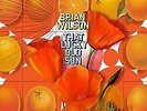 WILSON BRIAN That Lucky Old Sun (180g)