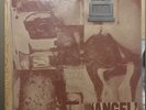 Nicole 12 Prurient Split LP Bizarre Uproar Macronympha XE IOPS Genocide Organ