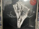 ROBERT PLANT-LULLABY AND THE CEASELESS ROAR 180 GRAM VINYL 2 LP RECORD, Sealed