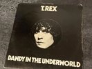 T-Rex -Dandy In The Underworld-Vinyl-BLN5005 1977