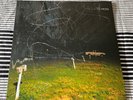Yo La Tengo This Stupid World transparent blue Vinyl 2xLP (Used-EX/NM)
