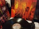 W.A.S.P. (WASP) Live... In The Raw Vinyl Record Album LP 1987 Rock Metal