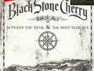Black Stone Cherry - Between The Devil & The De (Vinyl LP - 2007 - EU - Reissue)