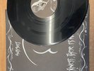 AntiSect - In Darkness Vinyl