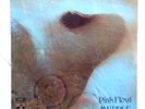 Pink Floyd – Meddle Schweiz 1971 Genesis Yes