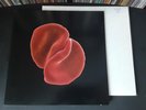 Peter Gabriel Scratch My Back Test Pressing 200 Gram Classic Records PG XII