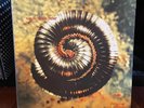 NINE INCH NAILS 