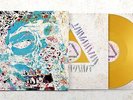 Warpaint - The Fool.  Andrew Weatherall Sessions | [Gold Vinyl