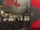 Profanatica - Broken Jew 7