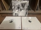 Bjork - Vespertine (2015, White, Vinyl) - TPLP101LTD - Rare - VG/NM