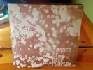 DEEP PURPLE 