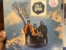 Sky Saxon Blues Band - A Full Spoon Of Seedy Blues 1967 Stereo LP in SHRINK hype