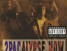 2Pac - 2Pacalypse Now  (SEALED Vinyl)