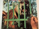 Tygers Of Pan Tang The Cage Rare Heavy Metal NWOBHM Glam Hair Hard Rock Vinyl LP