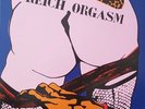 REICH ORGASM - REICH ORGASM VINYL RECORD LP french oi  skinhead punk rock music