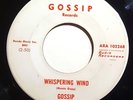 GOSSIP - Whispering Wind / No Ones Standing In Your Way - AZ Psych 45 VG+ RARE