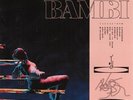 Hippo Campus - BAMBI (MIDWINTER) - Vinyl LP - NEW & SEALED