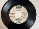 LINDA & THE VISTAS 45 She Went Away SHRINE 100 northern soul rare PROMO