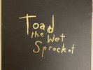 Toad The Wet Sprocket Limited Edition 5 LP Box Set 0784/1500 RSD 2018