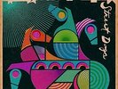 Street Dogs by Widespread Panic (Record, 2015)