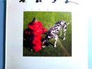 RUSH SIGNALS RARE STILL SEALED ORIGINAL 1982 MERCURY LP RUSH CLASSIC