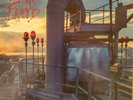 Pink Floyd - Live in NYC 1977 - New Import LP on Green Marbled Vinyl