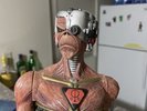 Iron Maiden Reserved Lot