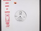 WHITE ZOMBIE: thunder kiss '65 GEFFEN 12